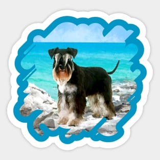 Miniature Schnauzer on the beach Sticker